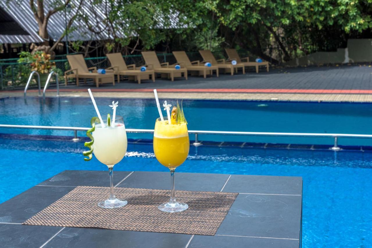 Nice Place Resort Dambulla Exteriér fotografie