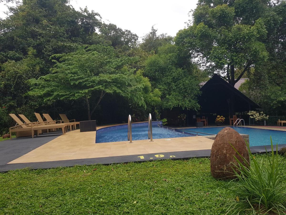 Nice Place Resort Dambulla Exteriér fotografie