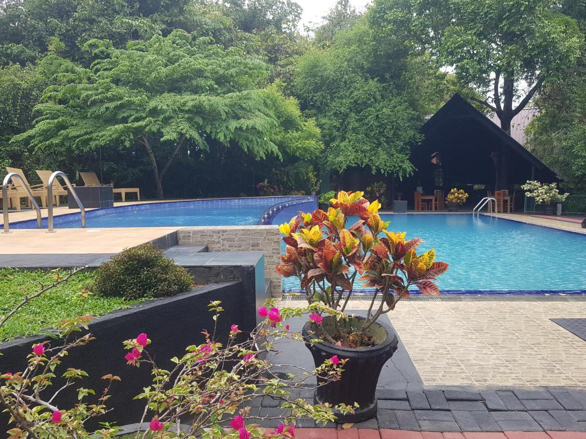 Nice Place Resort Dambulla Exteriér fotografie