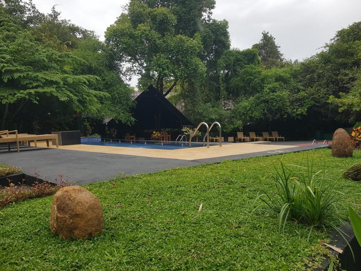 Nice Place Resort Dambulla Exteriér fotografie
