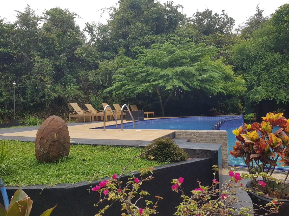 Nice Place Resort Dambulla Exteriér fotografie